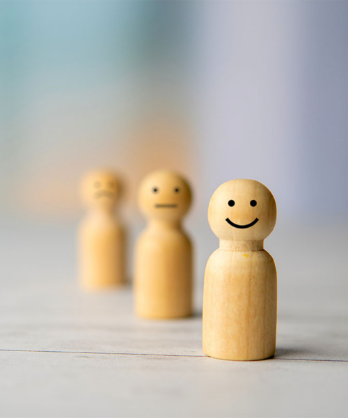 Success stories with Open-E storage management software