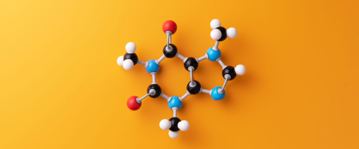 Atomicity, Copy-on-Write and Data Integrity: A Primer