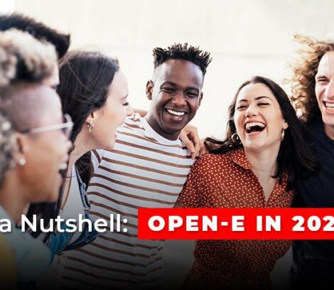 Summary of 2022 at Open-E