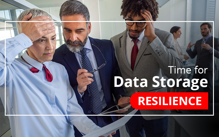 Data Storage Resilience