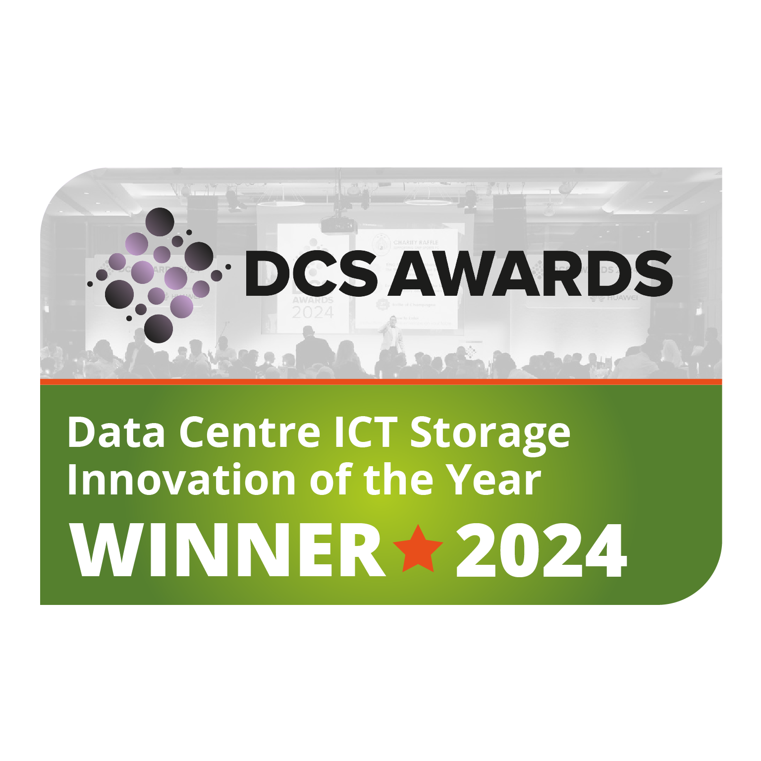 DCS Awards 2024