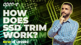 How to Enable SSD TRIM in Open-E JovianDSS? (Up29r2)