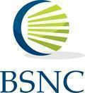 Brightstar Networks Corporation logo