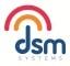 DSM Systems logo
