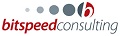 Bitspeed Consulting Inc logo