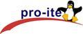pro-ite GmbH logo