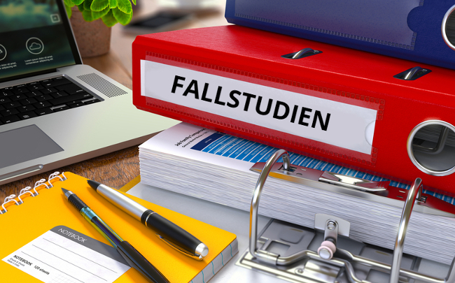 Fallstudien