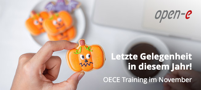 Open-E Certified Engineer Training im November