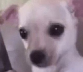 Hero image for article: featured post 2