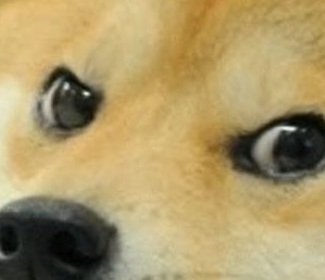 Hero image for article: featured post 1