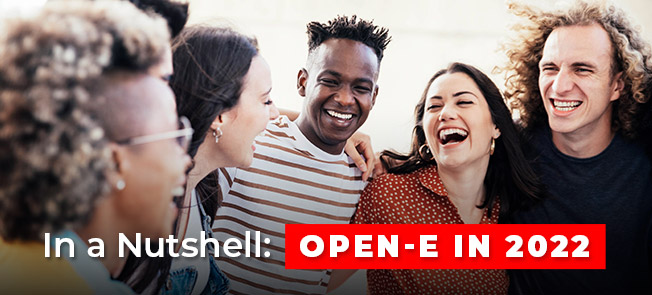 Summary of 2022 at Open-E