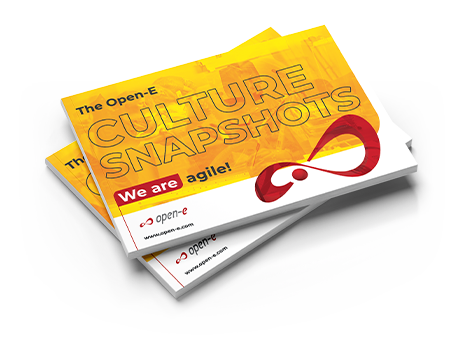 Open-E culture book